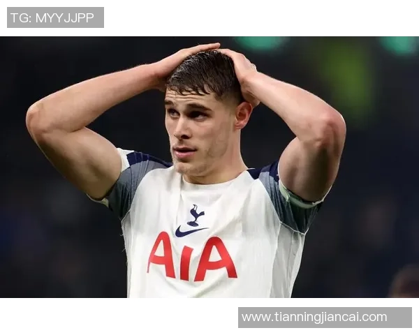 电讯报：热刺球员不满自家球迷嘘声，开会讨论与球迷的联系问题